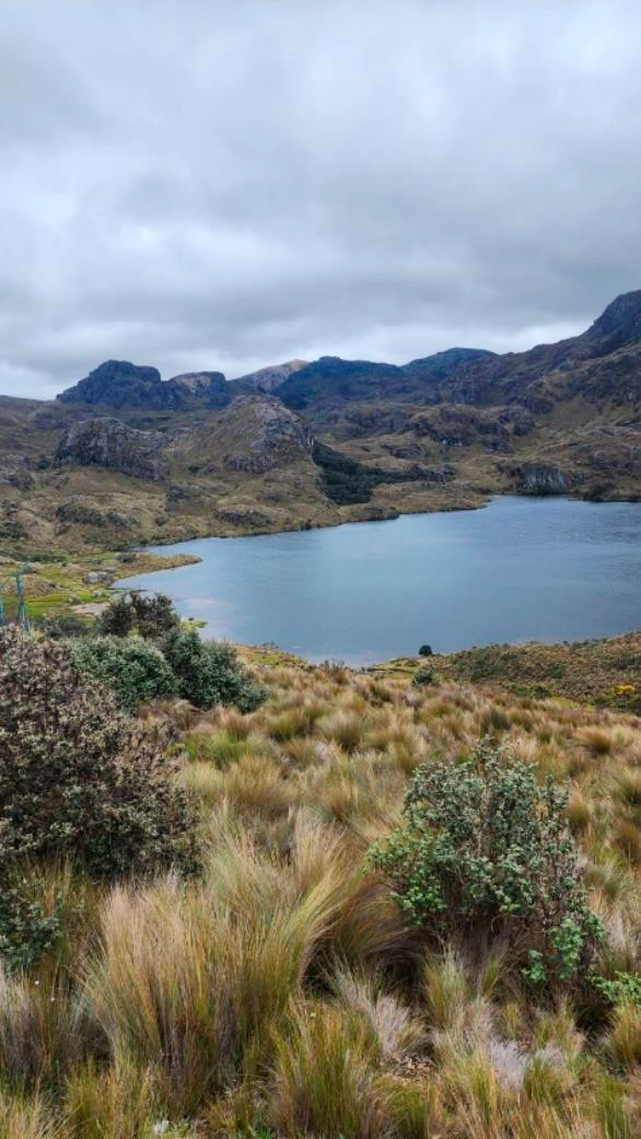 Cajas Express